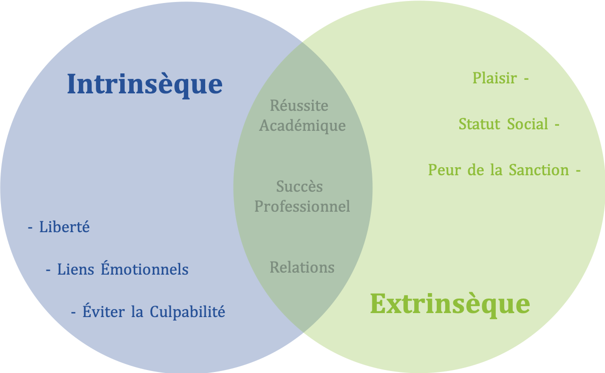 sources de motivation intrinsèque et de motivation extrinsèque