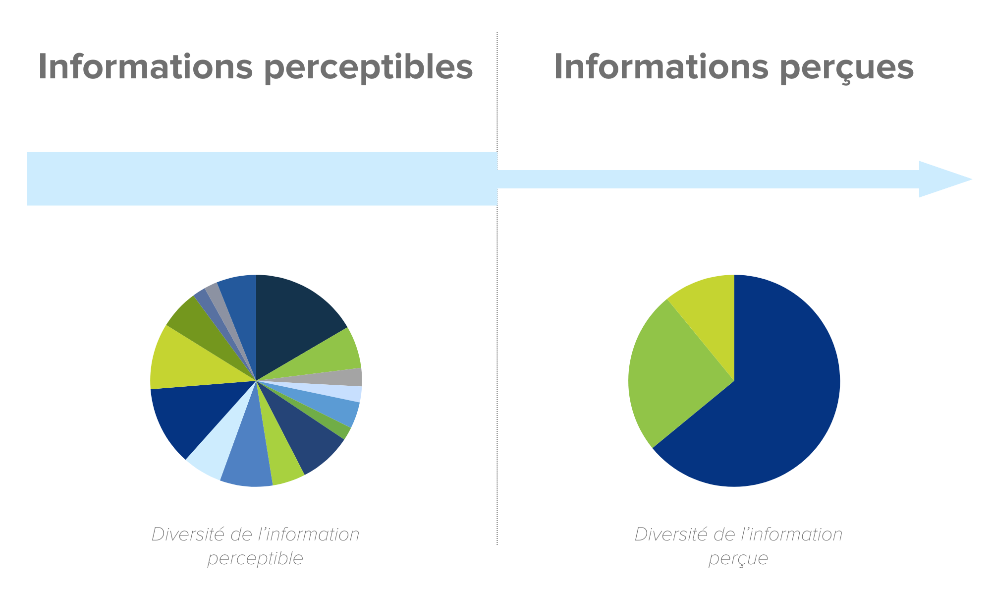 biais d'attention