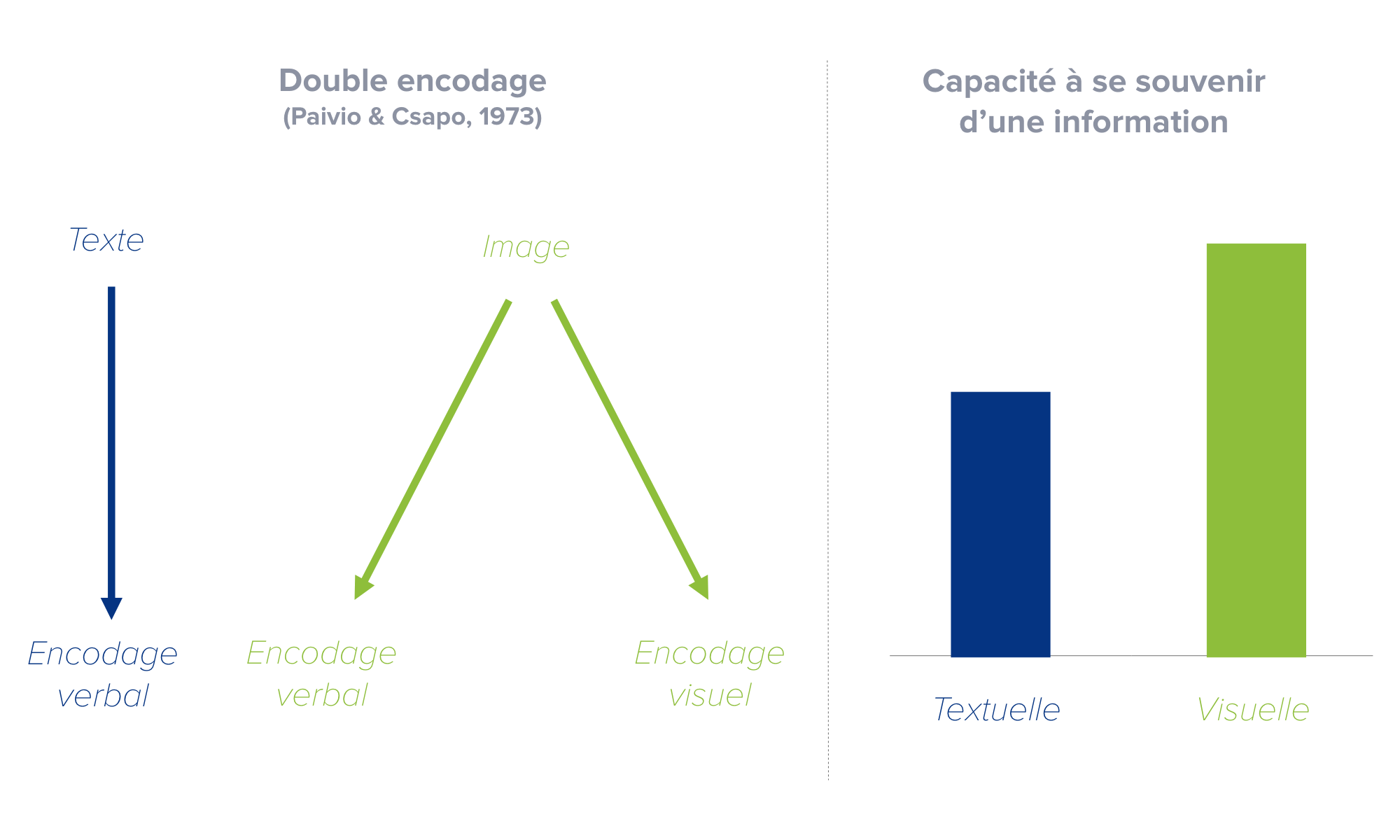 effet de supériorité de l'image