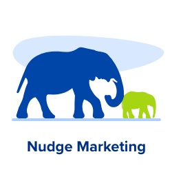 nudge marketing