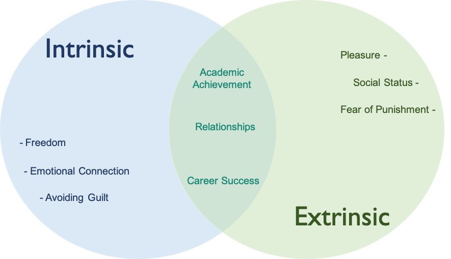 intrinsic motivation vs extrinsic motivation